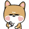 Shiba dog mov. 20