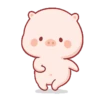 Cute little pig 🐷 12