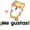 Shiba dog mov. 21