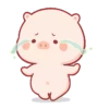 Cute little pig 🐷 13