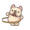 French Bulldog PIGU 23