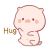 Cute little pig 🐷 14