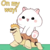 White hamster 5  .MOV 15