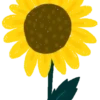 सूरजमुखी 20