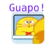 GATO GORDO 21