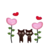 Cat's  Black   Mov 18