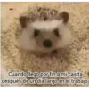 Cuando llego por fin a mi casita después de un día largo en el trabajo
