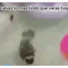 Talvez lo mas lindo que verás hoy