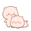 Cute little pig 🐷 16