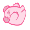 ● Pink Koala Mov. ● 16
