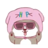 ️Happy Little dog  MOV 25