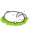 Lovely Puffy Bunny 22