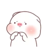 ️Pig gordo1  MOV 20