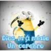 MINIONS 23