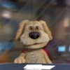 Ben the Dog 18