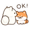 Shiba dog mov. 23