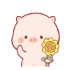 Cute little pig 🐷 20