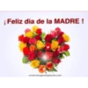 Día de la Madre 2 Movi 22