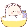 ️Little sheep  MOV 23