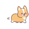 Corgi anime (Mov) 24