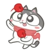 Gatinho perdido 14