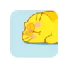 GATO GORDO 26
