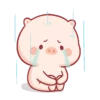 Cute little pig 🐷 24