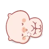 Cute little pig 🐷 25