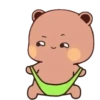 OSITOS KAWAII ‍ ️ 24
