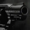 Armas 1 26