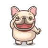 French Bulldog PIGU 25