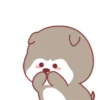 ️Happy Little dog  MOV 27