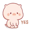 Cute little pig 🐷 26