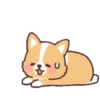 Corgi anime (Mov) 29