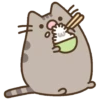 Pusheen eating 2 22