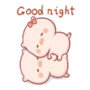 Cute little pig 🐷 27