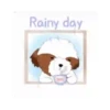 Shih tzu Bruno Mov 15