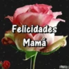 Día de la Madre 2 Movi 26