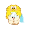 GATO GORDO 28