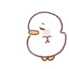 Malang Duck mov. 28