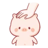 Cute little pig 🐷 29