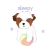 Shih tzu Bruno Mov 18