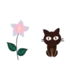 Cat's  Black   Mov 22