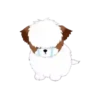 Shih tzu Bruno Mov 21