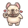 French Bulldog PIGU 27