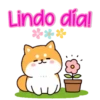 Shiba dog mov. 29