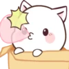 White Cat!  .MOV 24