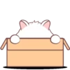 White hamster 5  .MOV 24