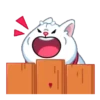 Perro shiba 5