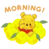 Winnie the Pooh cítricos 7